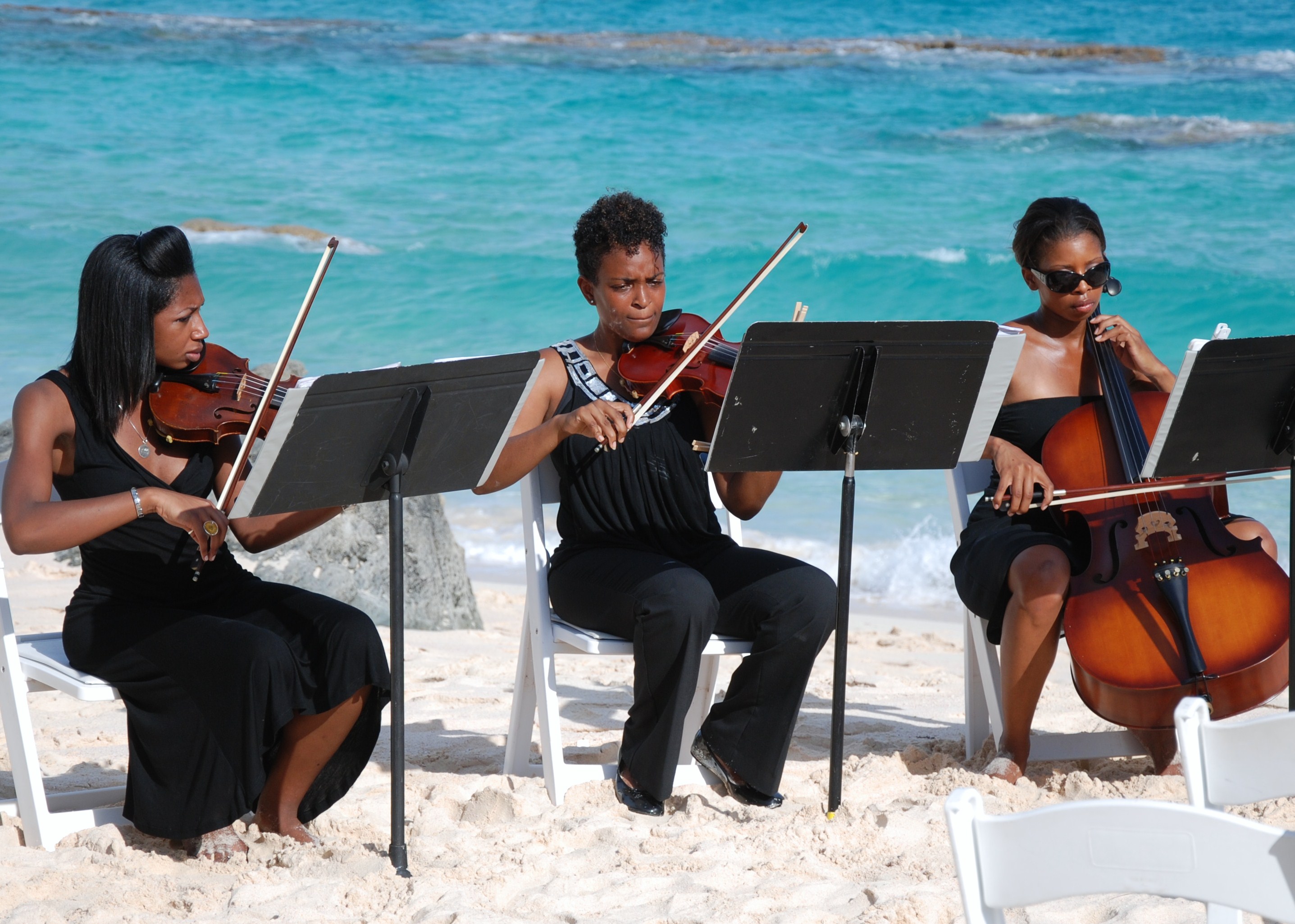 Amyviolins023.JPG
